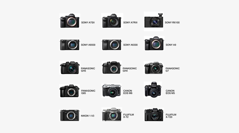 Supports All Mirrorless Cameras With A Max Payload - Megagear Ever Ready Leather Camera Case For Select, transparent png #3181871