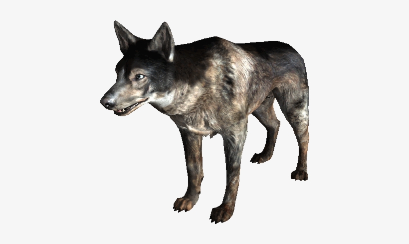 Dogmeat - Australian Cattle Dog Dogmeat, transparent png #3182310