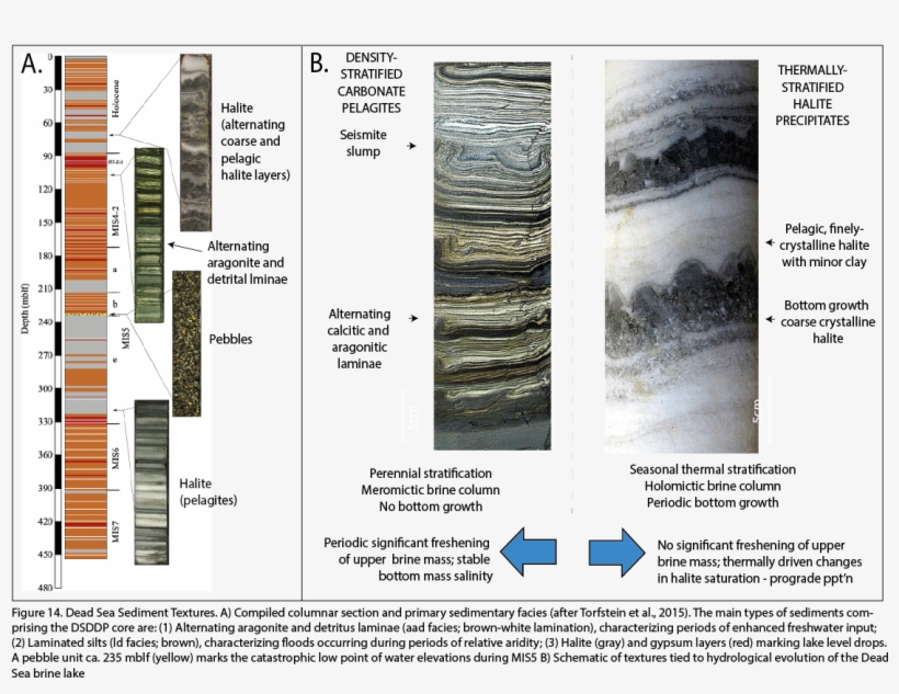 Since The Beginning Of The 20th Century The Water Budget - Water, transparent png #3182646