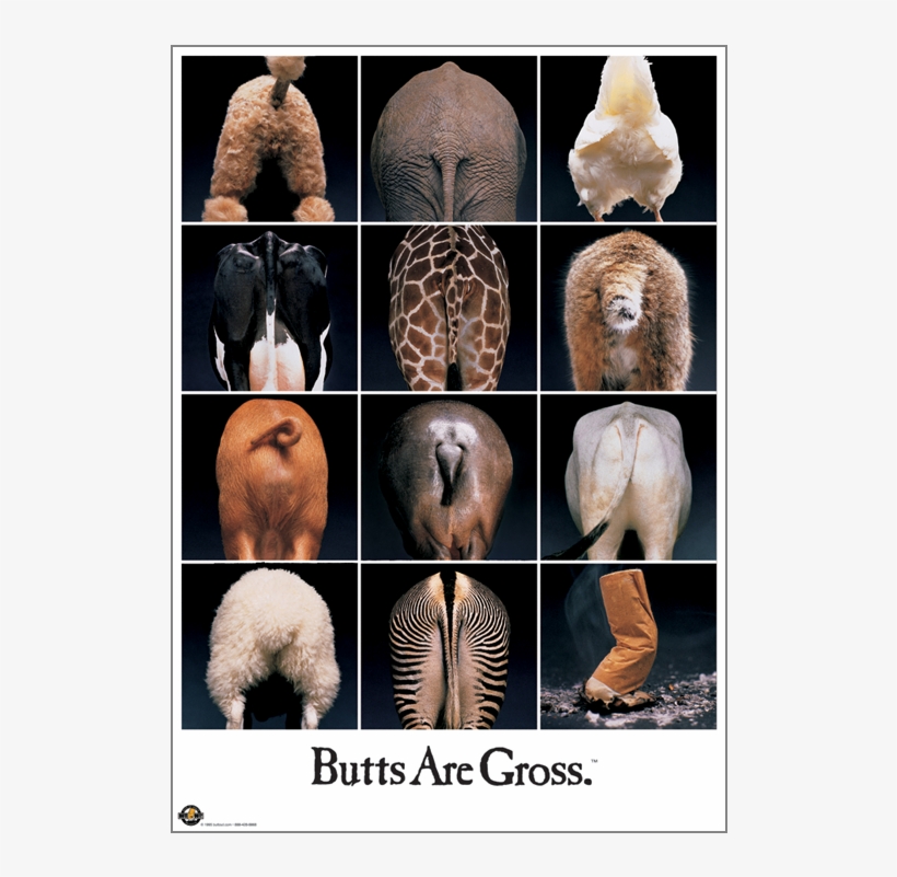 "butts Are Gross" Classic - Butts Are Gross Poster, transparent png #3182986