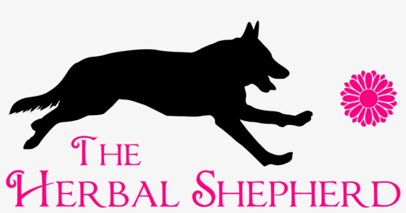 The Herbal Shepherd- - All Things Liquorice De Bron Sugar Free Liquorice Buttons, transparent png #3183036