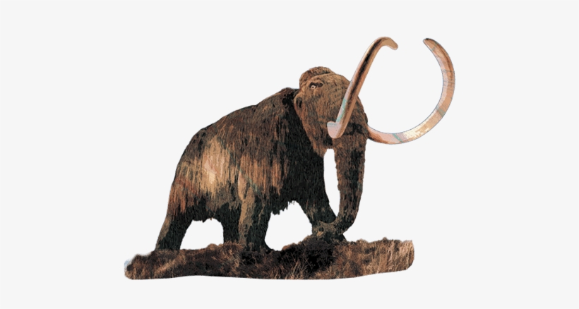 For A Good Understanding Of The Glacial Landscape It - Quaternary Time Period, transparent png #3183498