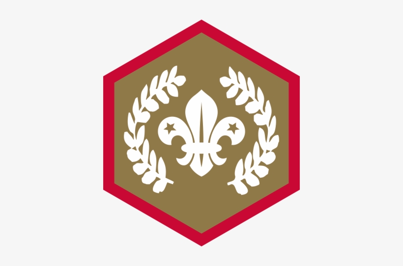 Chief Scout Gold Award - Chief Scout Bronze Award, transparent png #3184855