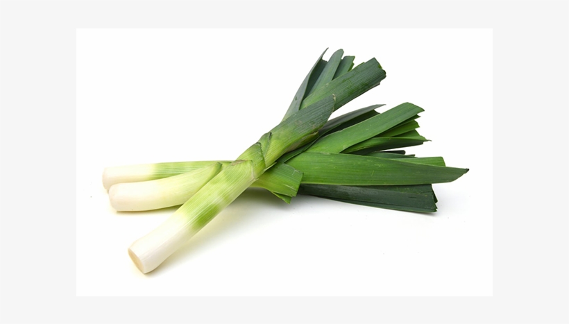 Poro - Poro - Poro - Onion Leek, transparent png #3185067
