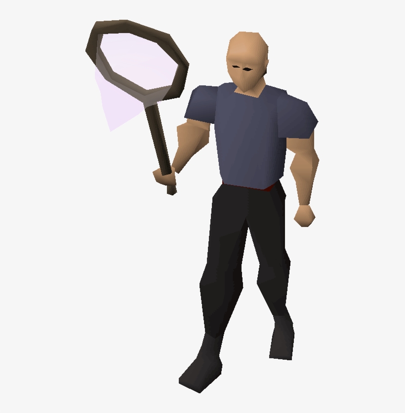 Butterfly Net Equipped - Butterfly Net, transparent png #3185629