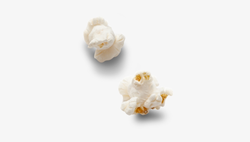 Popcorn Kernel Png Download - Single Popcorn Kernel Png, transparent png #3186421