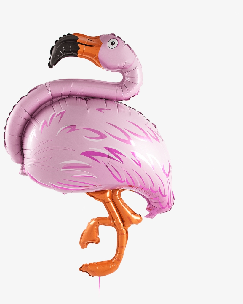 Pink Flamingo - Pink Flamingos, transparent png #3186635