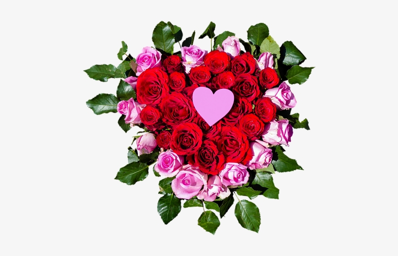 Garden Roses, transparent png #3187027