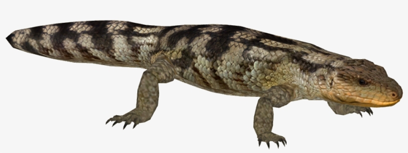 Blotched Blue-tongued Lizard - Gila Monster Transparent, transparent png #3188139