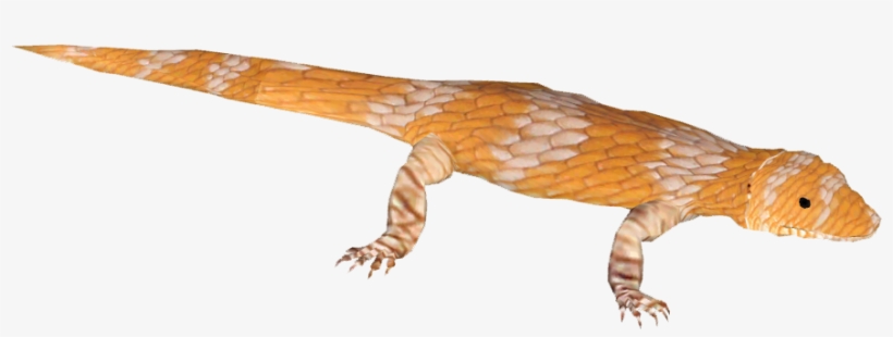 Blue-tongue Skink 2 - Gecko, transparent png #3188143