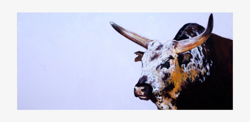 Bull, transparent png #3188636