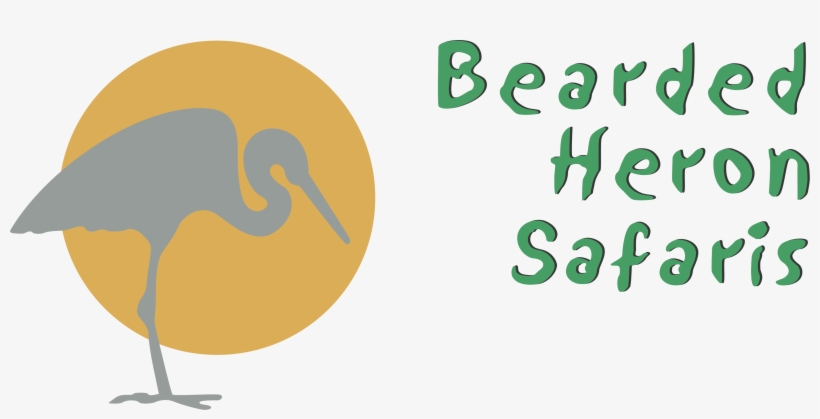 Bearded Heron Safaris, transparent png #3188795