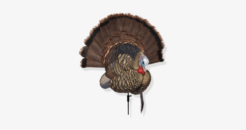 Turkey Decoys - Avian X Trophy Tom, transparent png #3189088