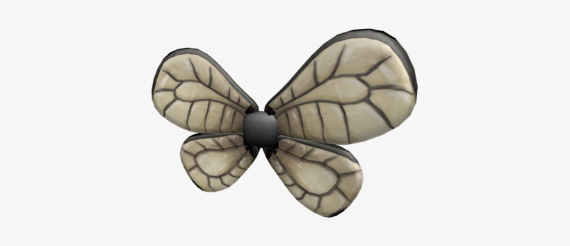 Bee Wings Roblox Bee Wings Free Transparent Png Download Pngkey