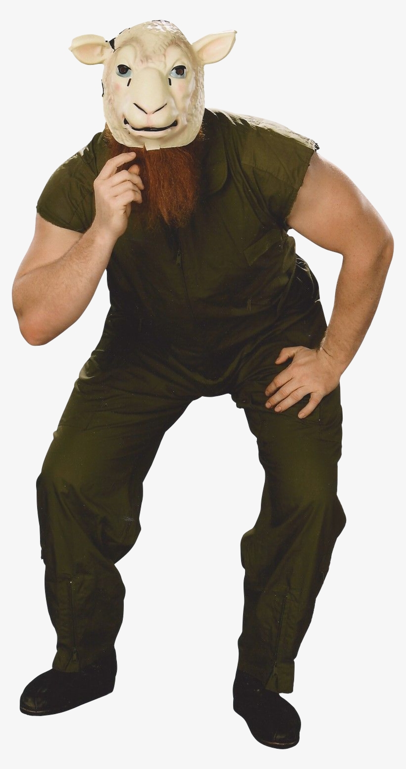 Erick Rowan Render - Erick Rowan 2013 Posed Sports, transparent png #3190005