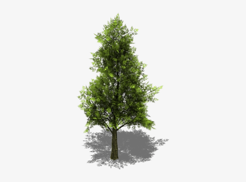 Preview - Tree Sprite, transparent png #3190360