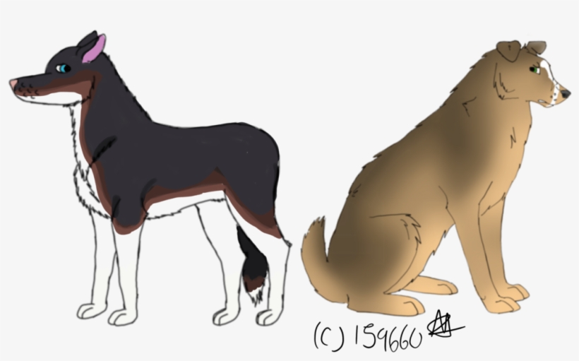 Wolf Done By Me Colored By Damian Wayne - Smooth Collie, transparent png #3191698