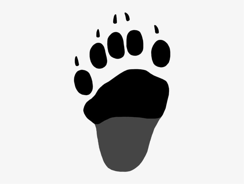 Black Bear Paw Print For Kids - Black Bear Hind Paw Print, transparent png #3192070