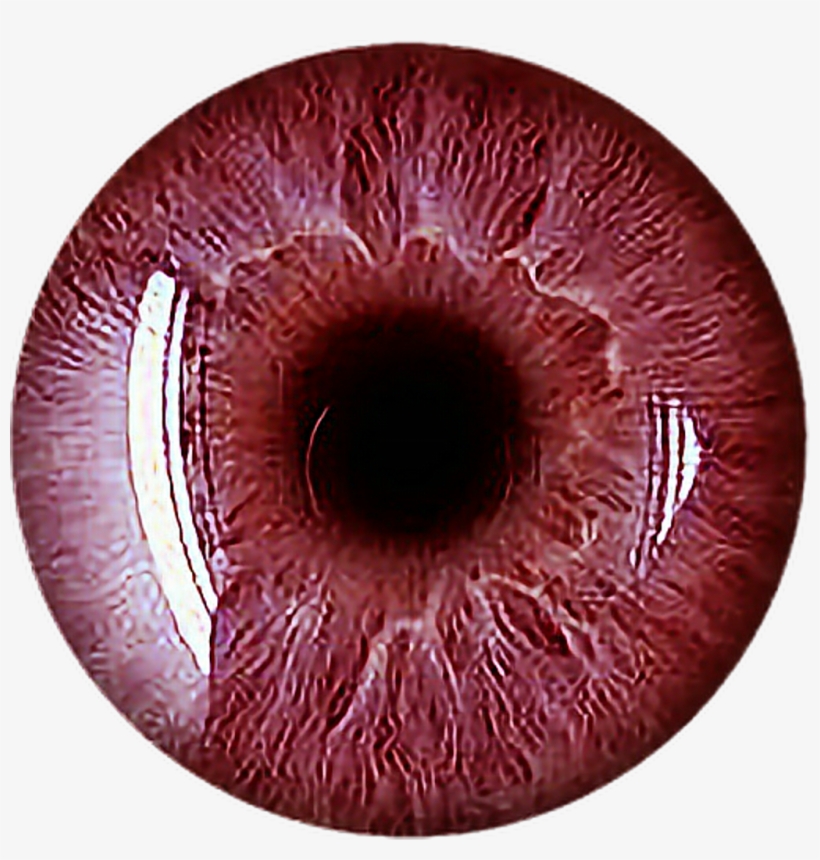 Eye Red Scary Vampire Redeyes Eyecolor Eyeball Freetoed - Iridology Healthy Eye, transparent png #3192412