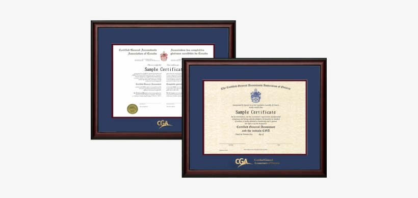 2x Cga Ontario Frames - Cpa Ontario Certificate Frame, transparent png #3193723