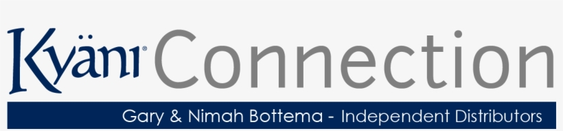 Kyani Connection - Business, transparent png #3193744