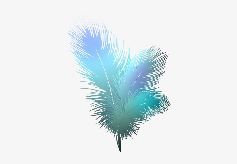 Feather Png - Transparent Peacock Feather Png, transparent png #3195276