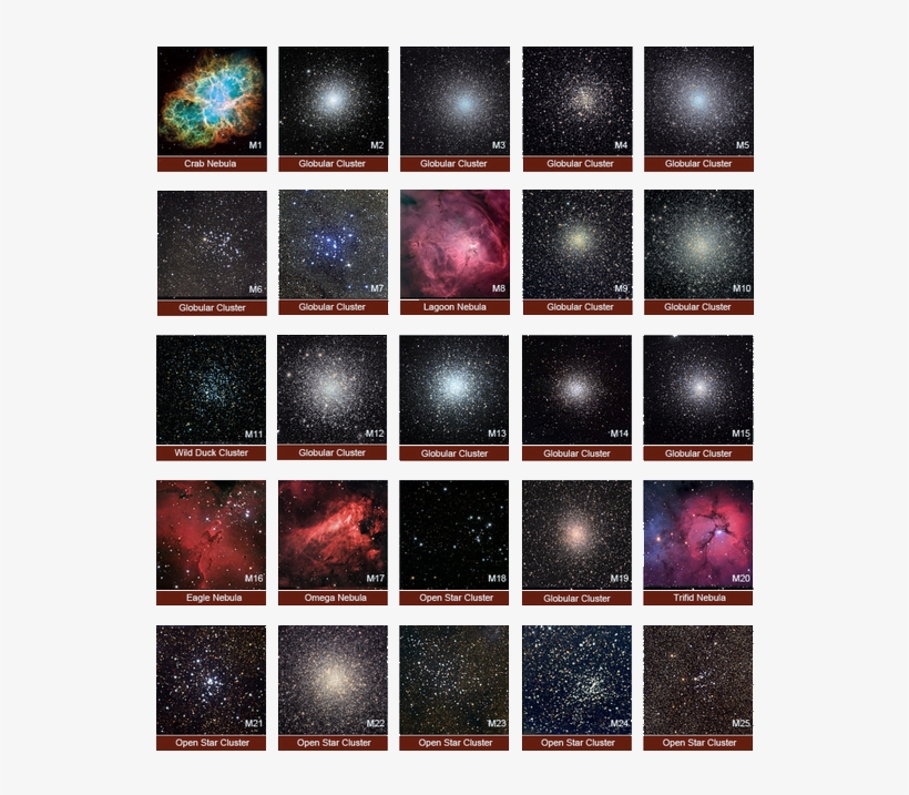 The Menagerie - Unauthorized Guide To Cosmology: Including And Overview, transparent png #3195672