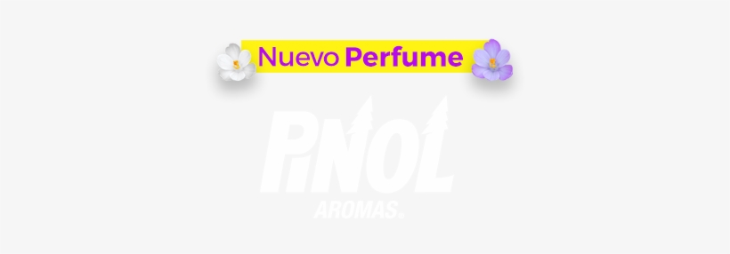 Orange, transparent png #3195755