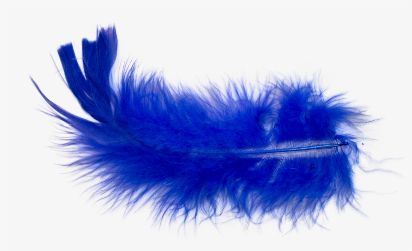 I Did A Little Research On How To Photoshop Out A Color - Feather, transparent png #3195873