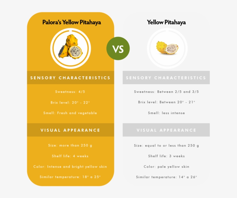 Info2 En - Portable Network Graphics, transparent png #3196104