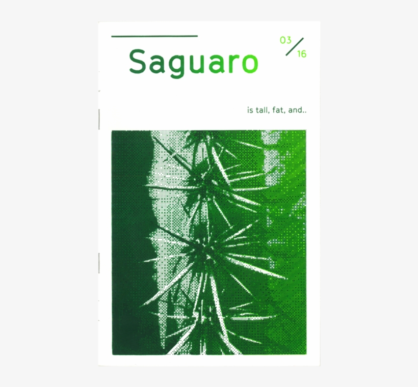 Saguaro, transparent png #3196833