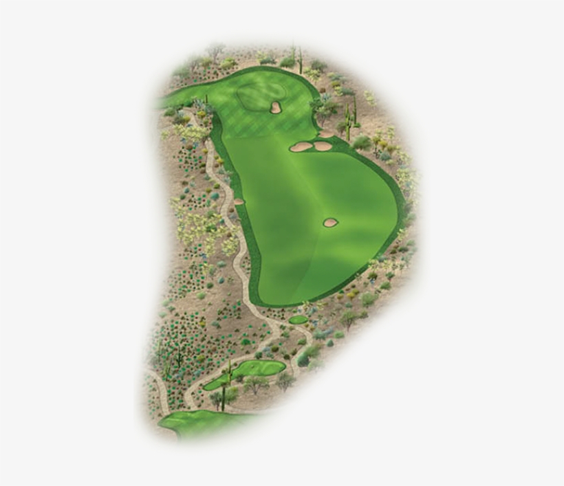 Saguaro 13 Edit - Saguaro, transparent png #3197129