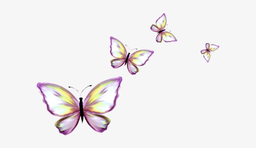 Papillon Clipart Border - Butterfly, transparent png #3197131