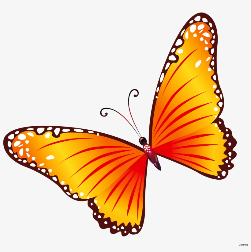 Free Clip Art Butterflies Coloring Butterfly Border - Transparent Background Butterfly Clipart, transparent png #3197308