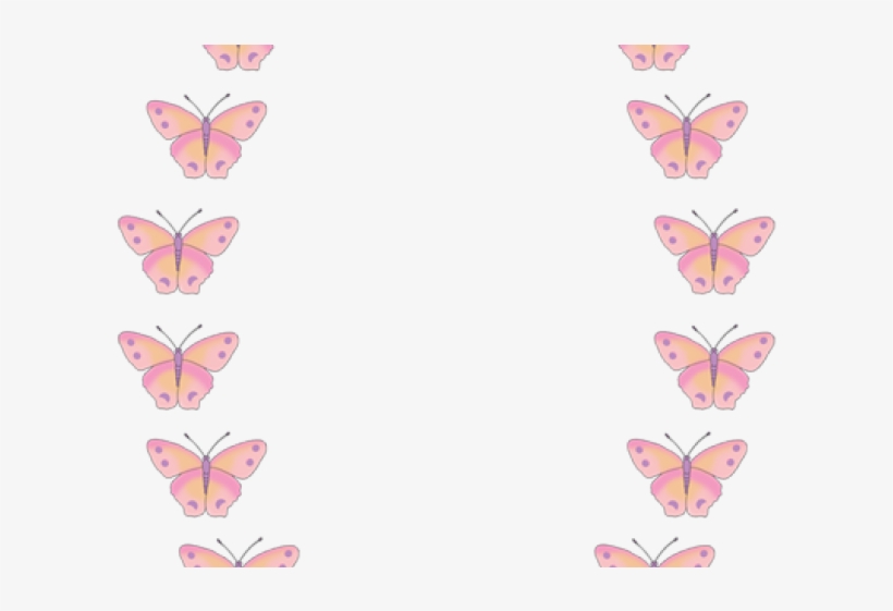 Butterfly Border Clipart - Clip Art, transparent png #3197482