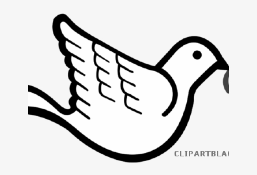 Dove With Olive Branch Free Transparent PNG Download PNGkey