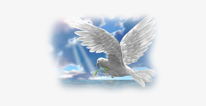 Designerscraps - Pigeons - - Potala Palace, transparent png #3197738