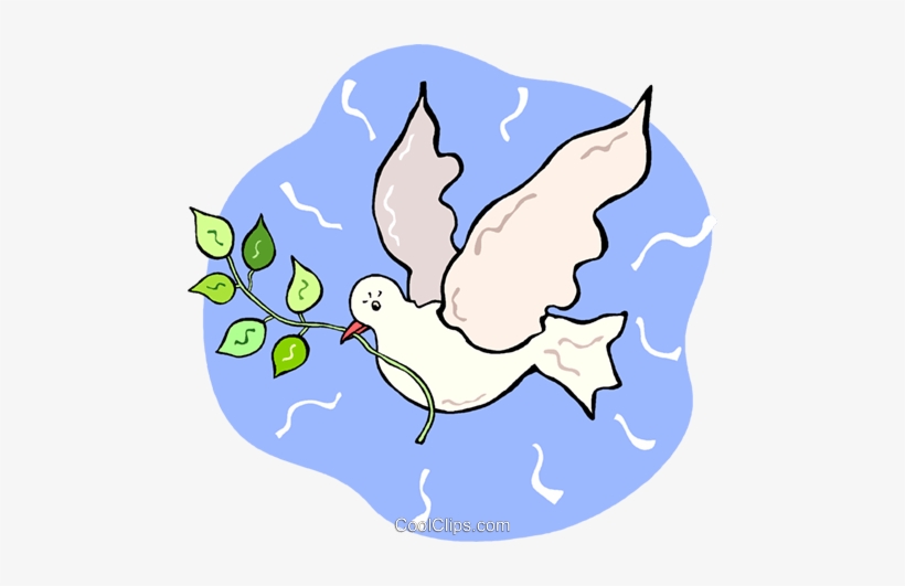 White Dove With An Olive Branch Royalty Free Vector - Clip Art, transparent png #3197774