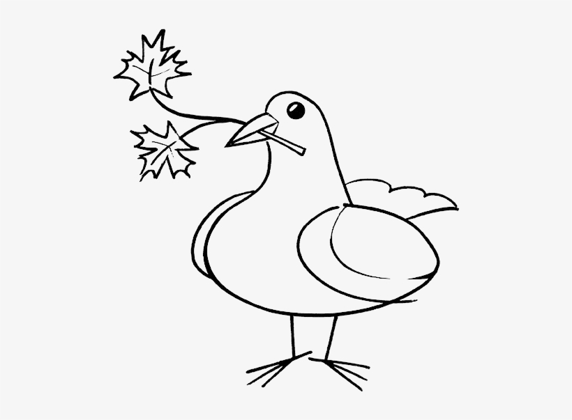 Dove With Olive Branch - Sisters Of Providence Of St. Vincent De Paul, transparent png #3197849
