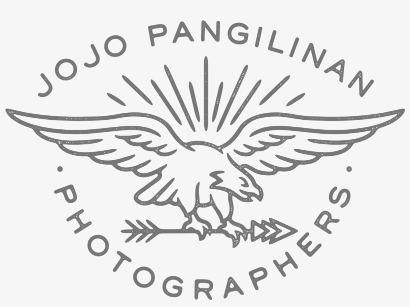 Photographers Jojo Pangilinan Photographers - Bald Eagle, transparent png #3198401