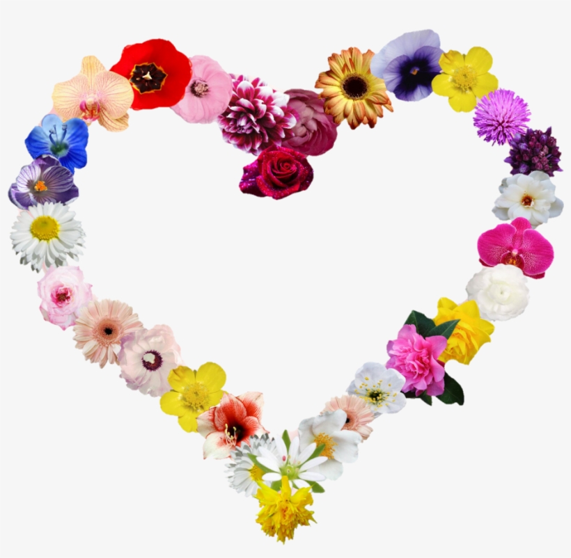 Heartshapes Heart Flowers Shape - Flower, transparent png #3198549