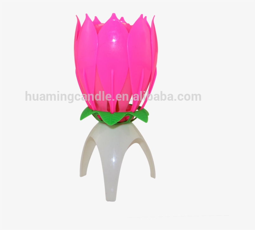 Funny Lotus Flower Shape Singing Music Candle - Birthday, transparent png #3198707