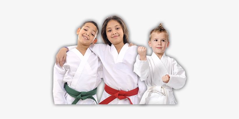 Learn Karate With Chris Benoit's Martial Arts Institute - Karate, transparent png #3198920