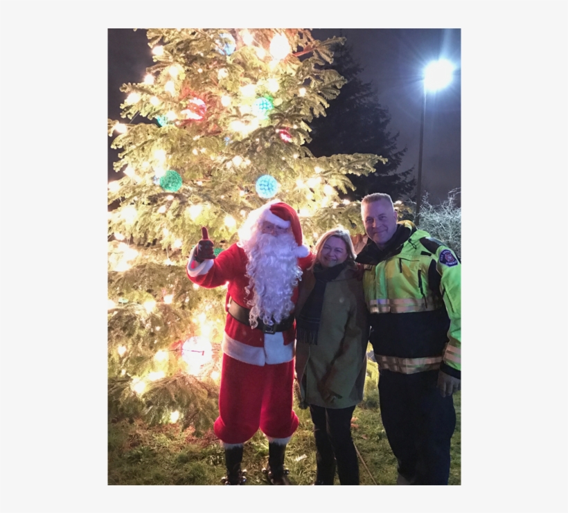 Christmas Tree, transparent png #3199445