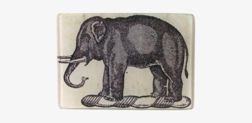 Black & White Elephant - Elephant, transparent png #3199716