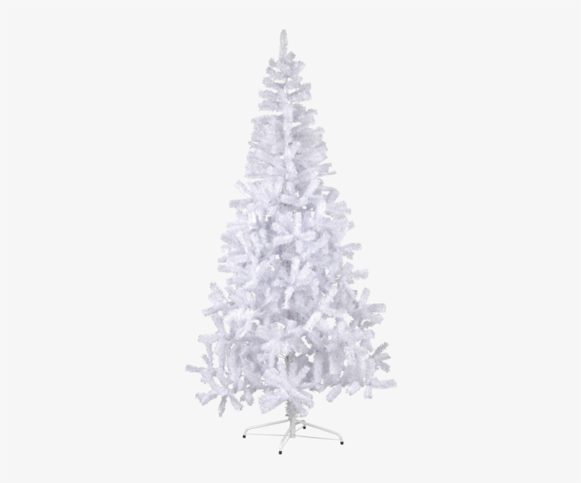Christmas Tree Canadian - Metal Ayak Beyaz Çam Ağacı 150cm, transparent png #3199733
