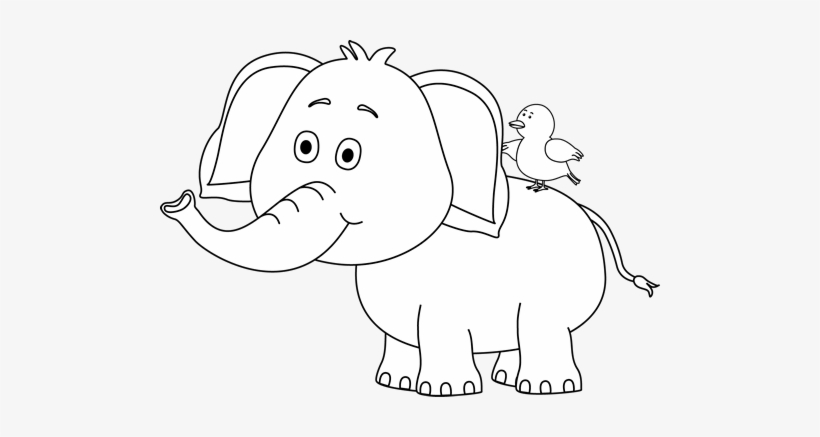 Black And White Elephant And Bird - Circus Clipart Black And White, transparent png #3199805