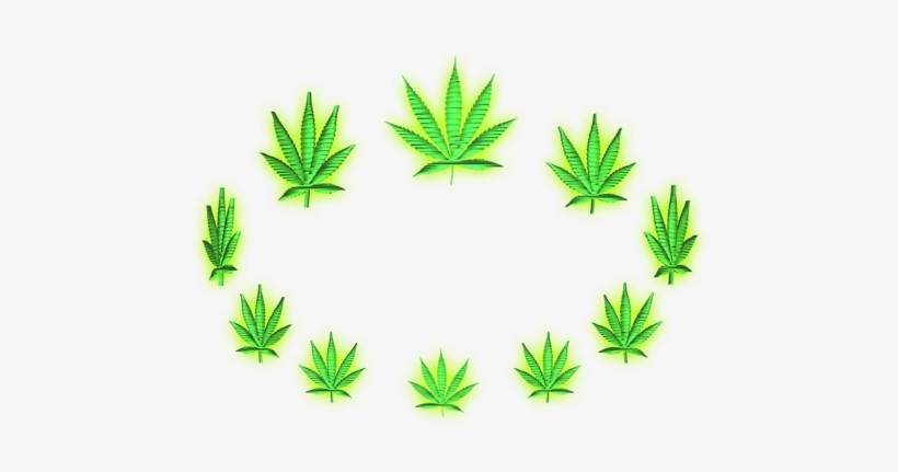 #weed - Cannabis, transparent png #320732