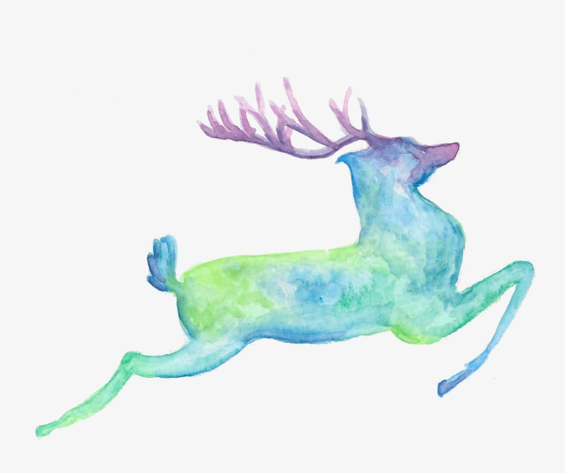 5″ X 7″ Watercolor - Illustration, transparent png #321666