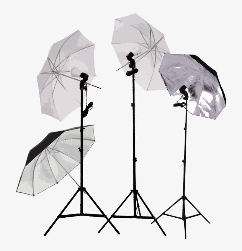 Lighting & Studio - Photography Umbrella Png, transparent png #322060